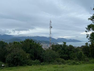 Terreno para Venda, em Garopaba, bairro Pinguirito