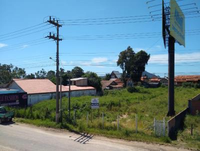 Terreno para Locação, em Imbituba, bairro Alto Arroio